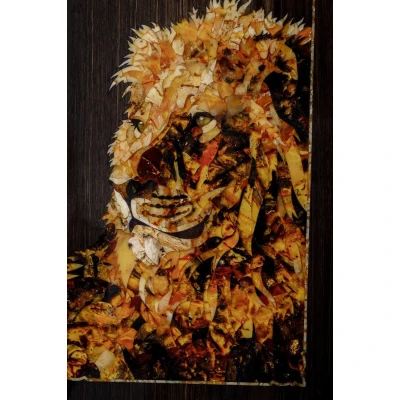 Нарды Лев (Дикая природа)