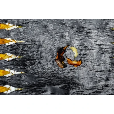 Нарды Сокол (Легенды мира)