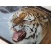 Нарды подарочные длинные деревянные Амурский тигр большие 60 на 60 см