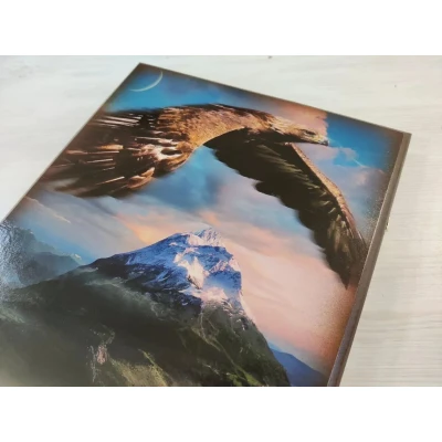 Нарды подарочные длинные деревянные Тигр и Орел большие 60 на 60 см