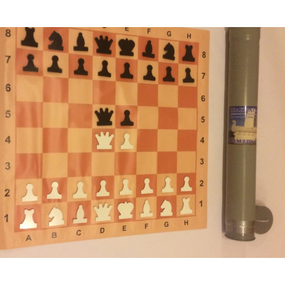 Школьная шахматная демонстрационная доска (80 см)