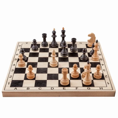 Шахматы Игрок бук