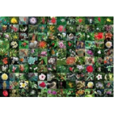Пазл Коллекция цветов  (1000 элементов)