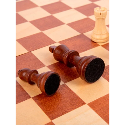 Шахматы турнирные Стаунтон 6 для детей и взрослых с ячейками