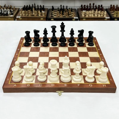 Шахматы детские Авангард Люкс с фигурами пластик