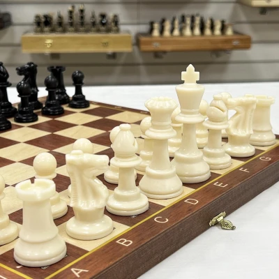 Шахматы детские Авангард Люкс с фигурами пластик