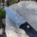 Нож складной туристический Ganzo G704-b ( Seal )