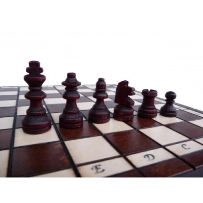 Шахматы Турист дорожные Мадон