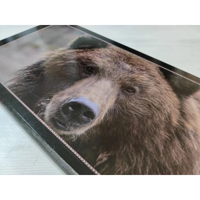 Нарды деревянные Медведь 50 на 50 см черные