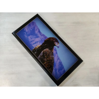 Нарды деревянные Орел средние 50 на 50 см черные